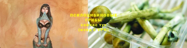 спайс Алексеевка