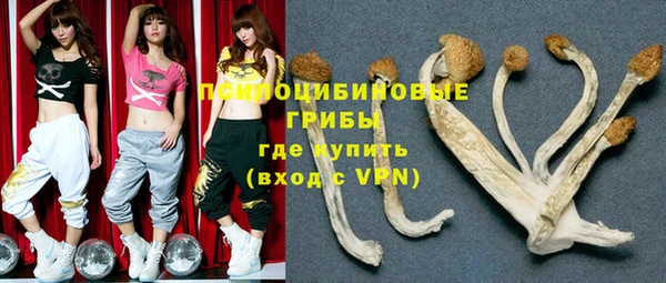 spice Абинск